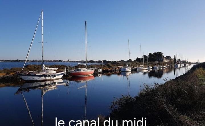 Le Corinthe - Appt Classe 3 Etoiles Et Climatise Marseillan  Exteriör bild